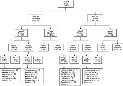 Evaluation of a Fully Automated Antinuclear Antibody Indirect Immunofluorescence Assay in Routine Use